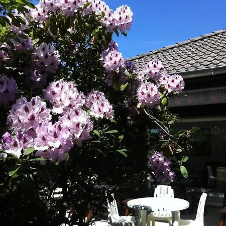 בית הארחה Weiss 2*