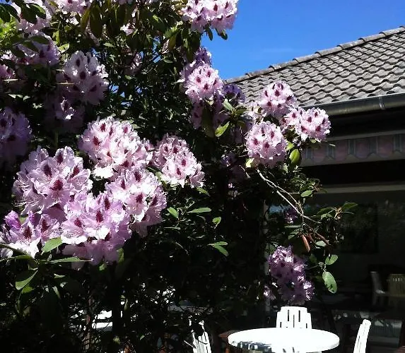 Πανσιόν Weiss 2*